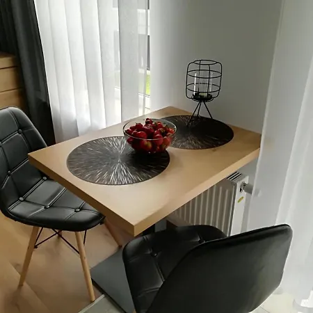 Centrum Dorzecze Legnickiej Apartment